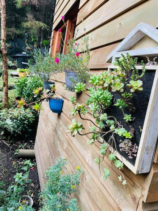 Beehouse Arvi Cabana Guarne Dış mekan fotoğraf