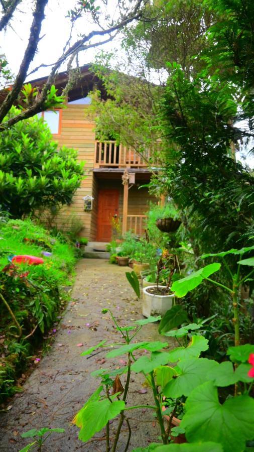 Beehouse Arvi Cabana Guarne Dış mekan fotoğraf