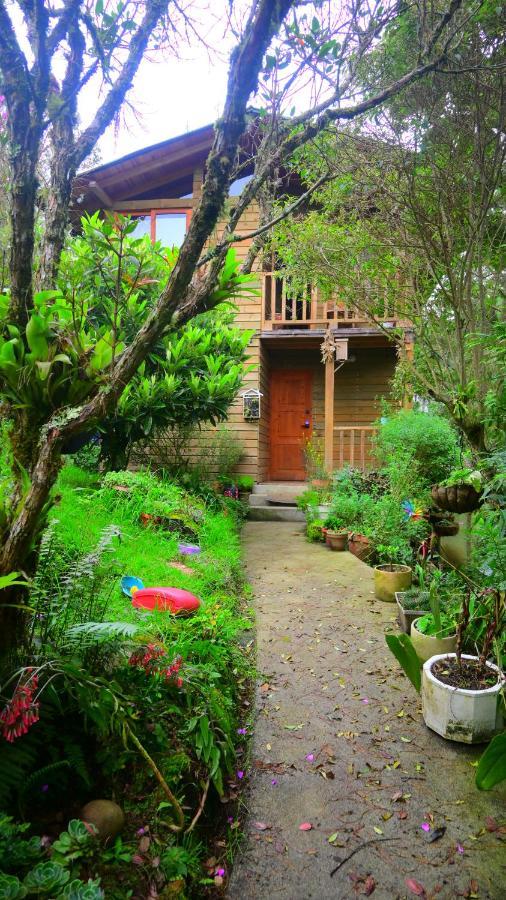 Beehouse Arvi Cabana Guarne Dış mekan fotoğraf