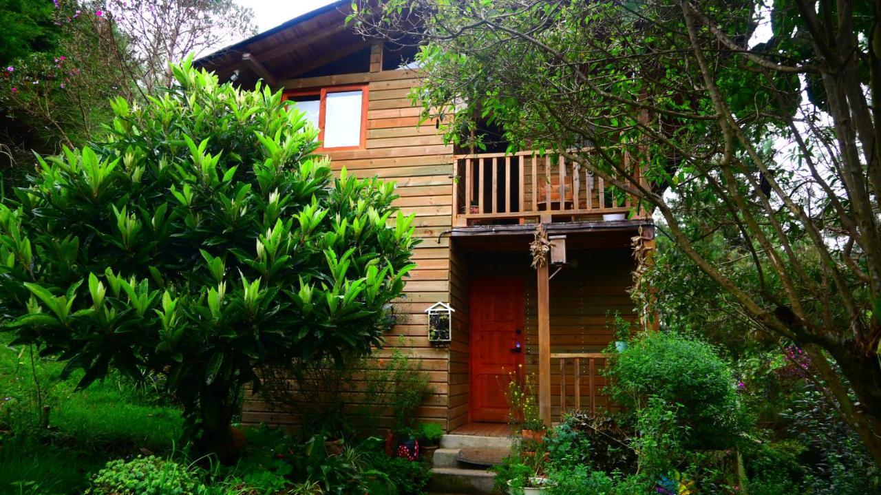 Beehouse Arvi Cabana Guarne Dış mekan fotoğraf