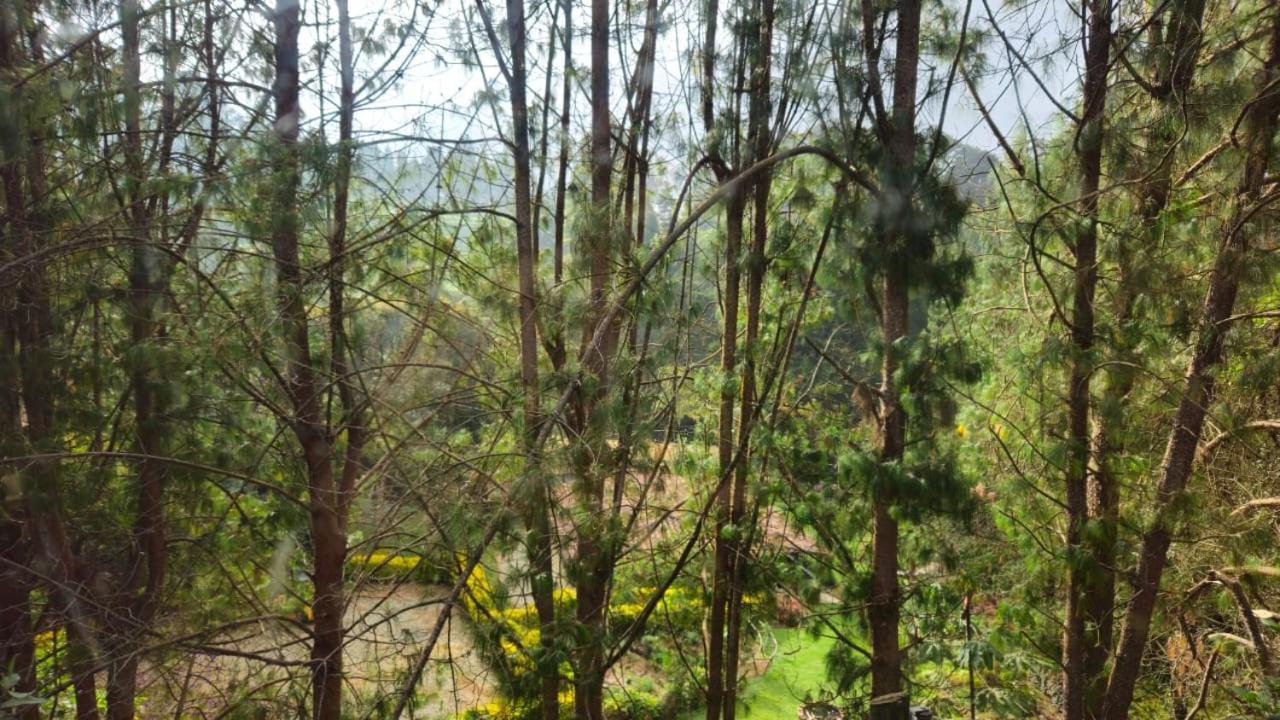 Beehouse Arvi Cabana Guarne Dış mekan fotoğraf