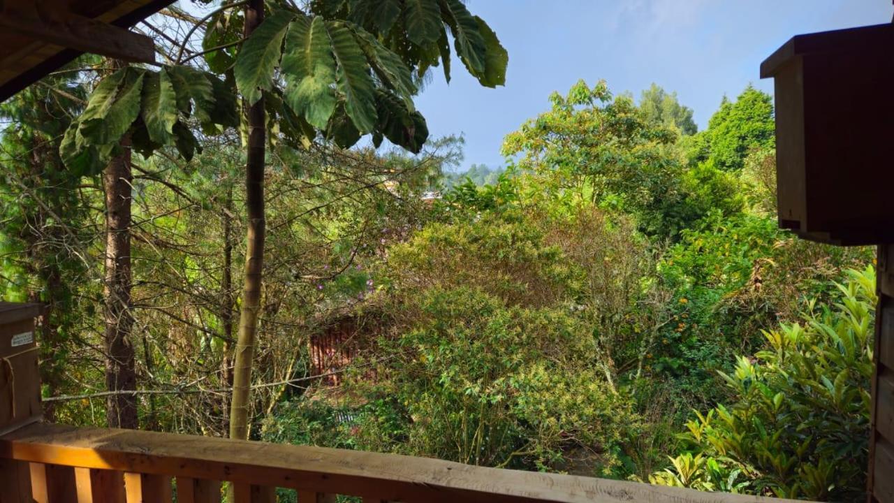 Beehouse Arvi Cabana Guarne Dış mekan fotoğraf