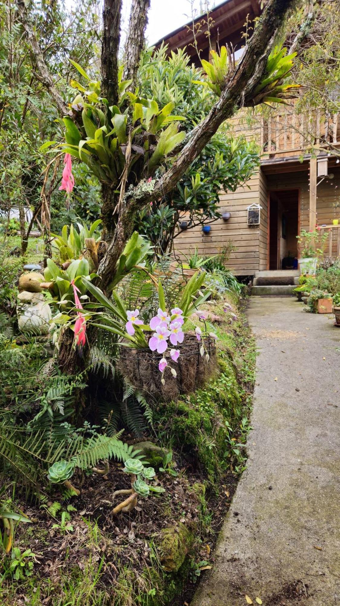 Beehouse Arvi Cabana Guarne Dış mekan fotoğraf
