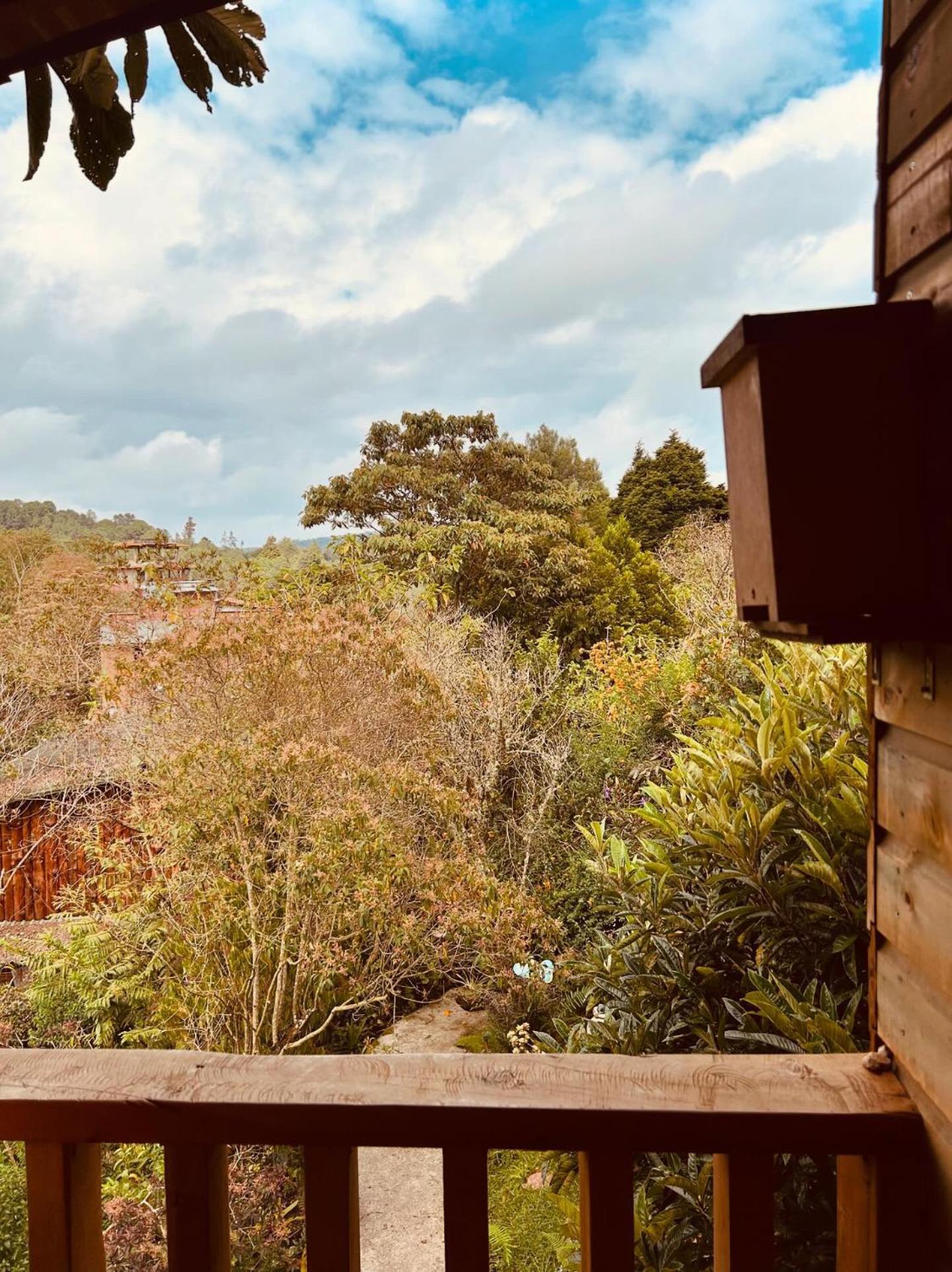 Beehouse Arvi Cabana Guarne Dış mekan fotoğraf